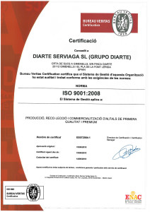 CERTIFICADOS ISO-español log